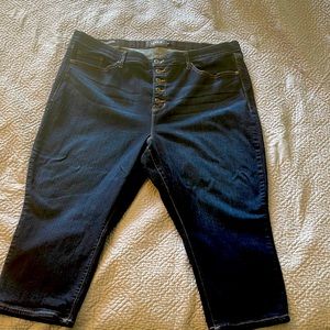 Torrid premium sky, high skinny crop! 28W